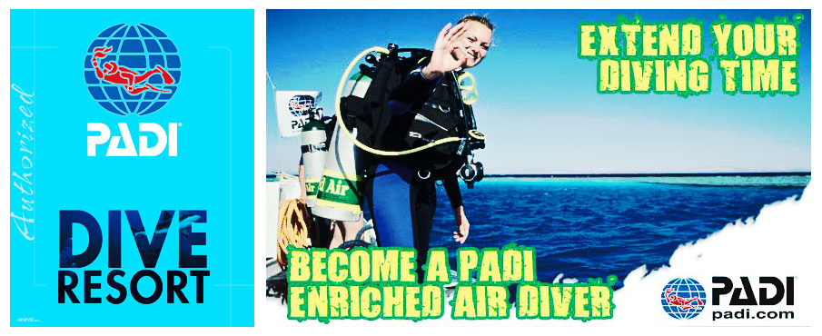 Padi Dive Resort