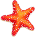 Starfish